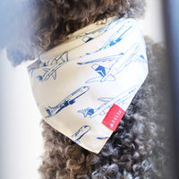 Fleet Dog Bandana