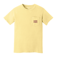 Hub Love AMS Pocket Tee