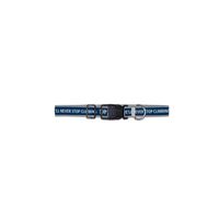 Dog Collar + Leash Set