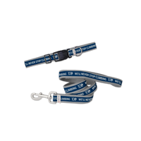 Dog Collar + Leash Set