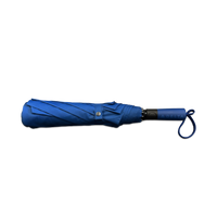 Classic Umbrella with Widget Pattern