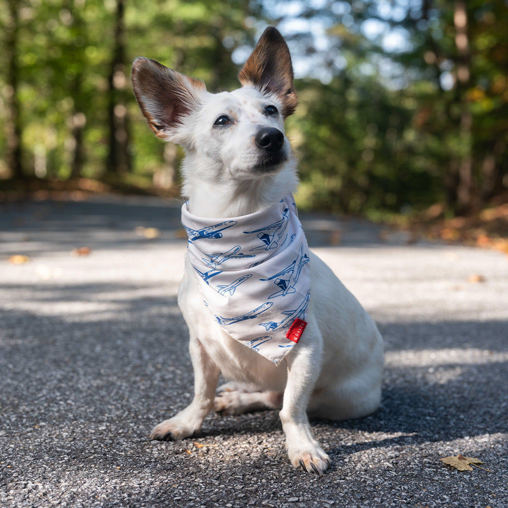 Fleet Dog Bandana