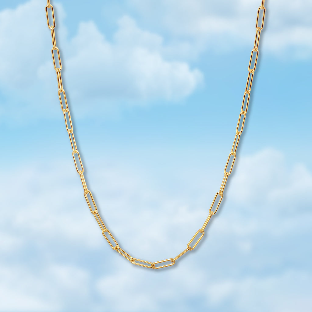 Paperclip Chain Necklace – Delta Shop