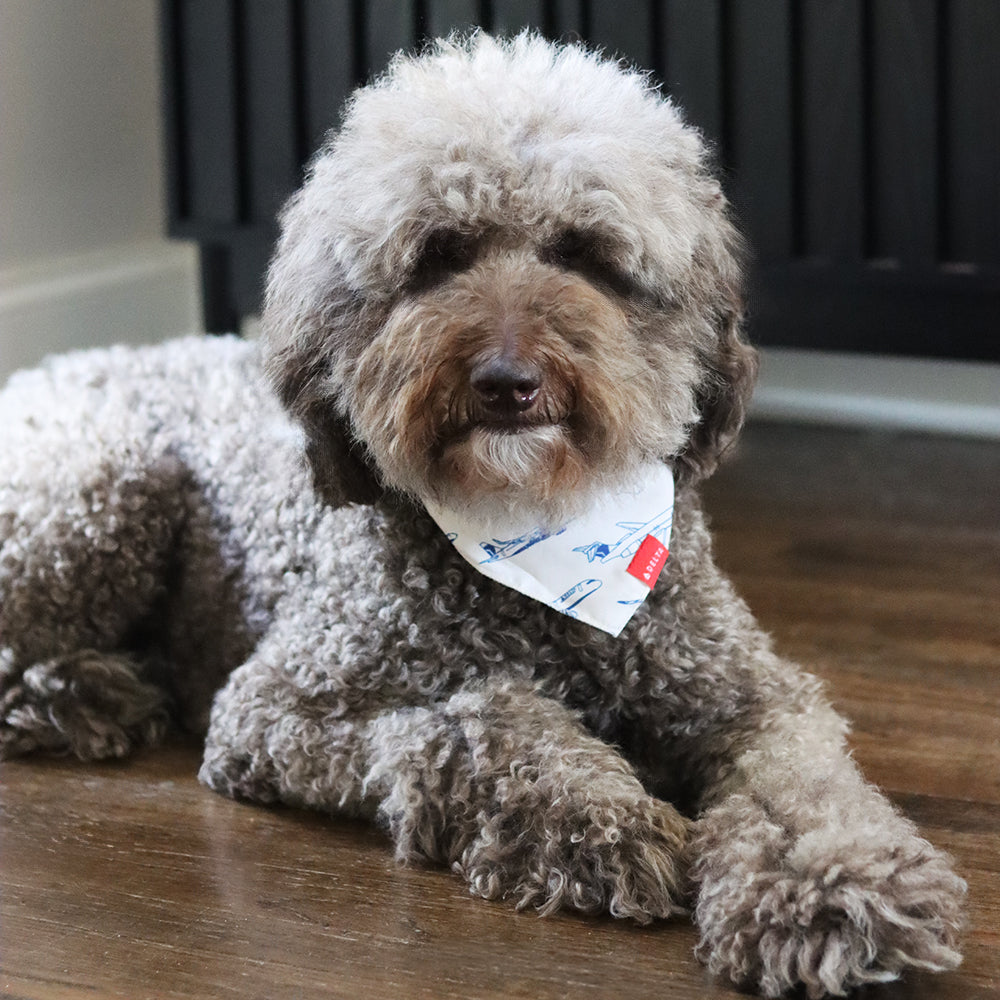 Fleet Dog Bandana